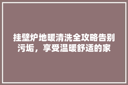 挂壁炉地暖清洗全攻略告别污垢，享受温暖舒适的家 综合便民