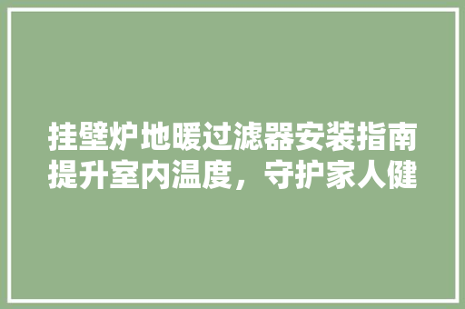 挂壁炉地暖过滤器安装指南提升室内温度，守护家人健康 综合便民