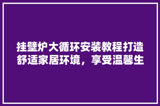 挂壁炉大循环安装教程打造舒适家居环境，享受温馨生活 厨房维修