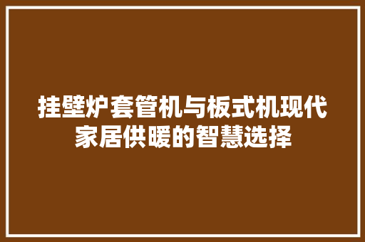 挂壁炉套管机与板式机现代家居供暖的智慧选择 厨房维修