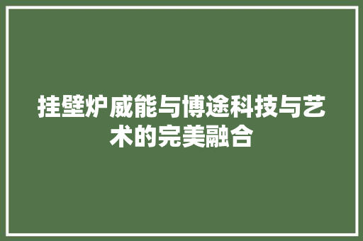 挂壁炉威能与博途科技与艺术的完美融合 综合便民