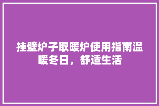 挂壁炉子取暖炉使用指南温暖冬日，舒适生活 厨房维修