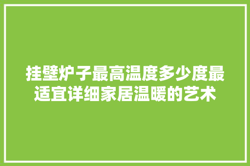 挂壁炉子最高温度多少度最适宜详细家居温暖的艺术 综合便民