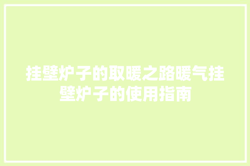 挂壁炉子的取暖之路暖气挂壁炉子的使用指南 综合便民