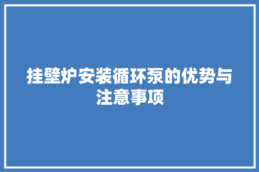 挂壁炉安装循环泵的优势与注意事项 墙体维修