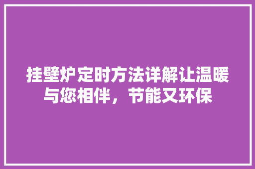 挂壁炉定时方法详解让温暖与您相伴，节能又环保 家电维修