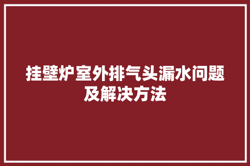 挂壁炉室外排气头漏水问题及解决方法 家电维修