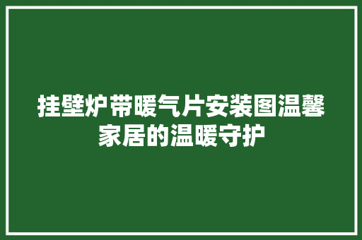 挂壁炉带暖气片安装图温馨家居的温暖守护 综合便民