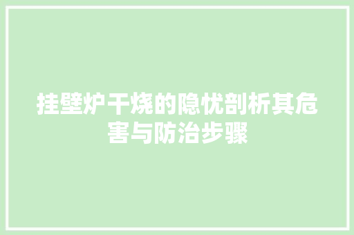挂壁炉干烧的隐忧剖析其危害与防治步骤 厨房维修