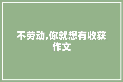 挂壁炉循环模式调节方法全 汽车维修