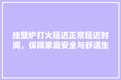 挂壁炉打火延迟正常延迟时间，保障家庭安全与舒适生活 厨房维修