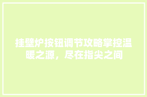 挂壁炉按钮调节攻略掌控温暖之源，尽在指尖之间 综合便民