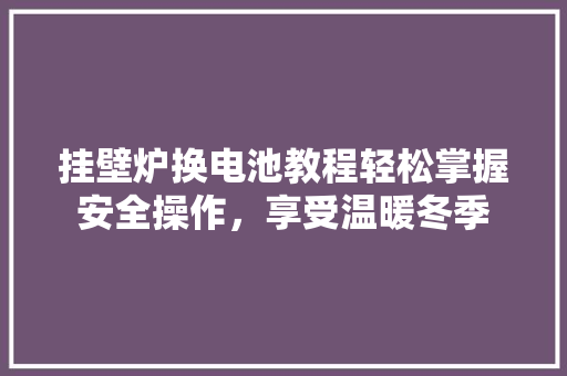 挂壁炉换电池教程轻松掌握安全操作，享受温暖冬季 厨房维修