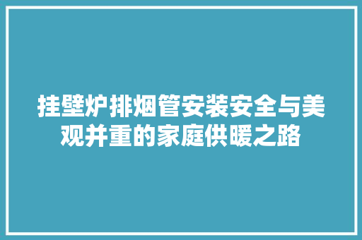 挂壁炉排烟管安装安全与美观并重的家庭供暖之路 家电维修