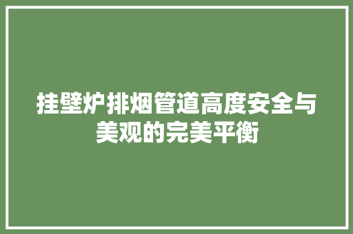 挂壁炉排烟管道高度安全与美观的完美平衡 汽车维修