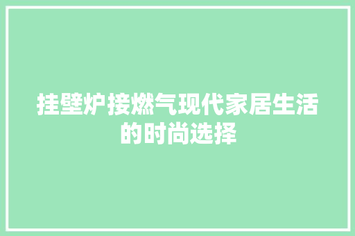 挂壁炉接燃气现代家居生活的时尚选择 汽车维修