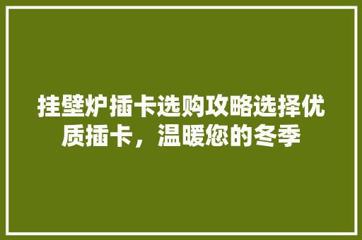 挂壁炉插卡选购攻略选择优质插卡，温暖您的冬季 墙体维修