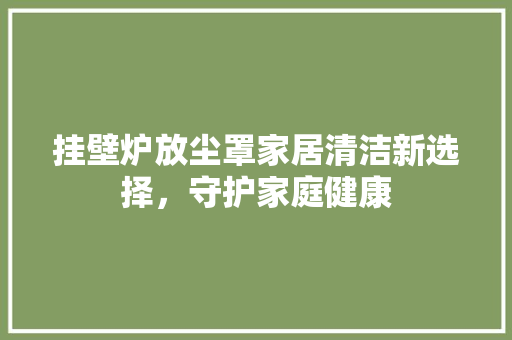 挂壁炉放尘罩家居清洁新选择，守护家庭健康 厨房维修