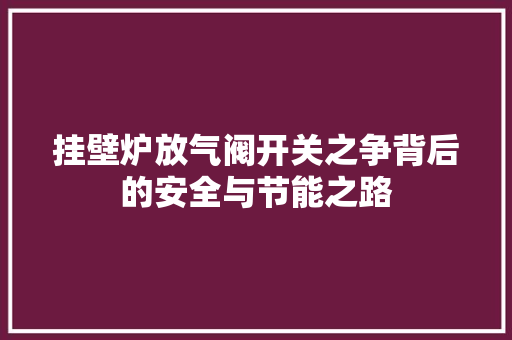 挂壁炉放气阀开关之争背后的安全与节能之路 墙体维修