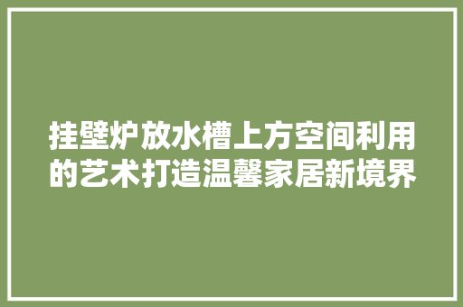 挂壁炉放水槽上方空间利用的艺术打造温馨家居新境界 家电维修
