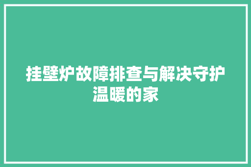 挂壁炉故障排查与解决守护温暖的家 墙体维修
