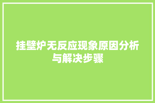 挂壁炉无反应现象原因分析与解决步骤 厨房维修
