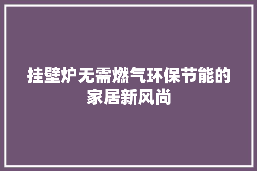 挂壁炉无需燃气环保节能的家居新风尚 汽车维修