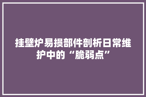 挂壁炉易损部件剖析日常维护中的“脆弱点” 家电维修