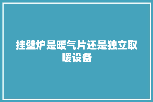 挂壁炉是暖气片还是独立取暖设备 家电维修