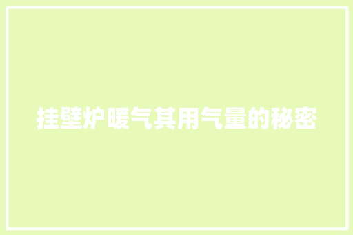 挂壁炉暖气其用气量的秘密 厨房维修