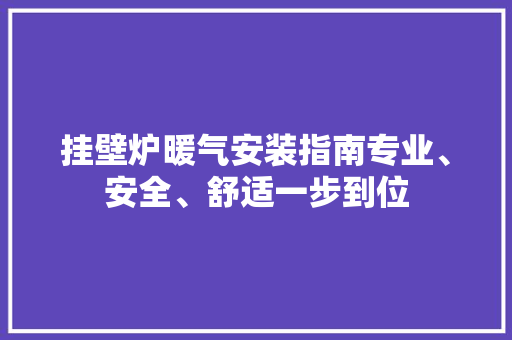 挂壁炉暖气安装指南专业、安全、舒适一步到位 墙体维修