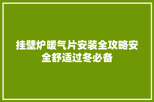 挂壁炉暖气片安装全攻略安全舒适过冬必备 厨房维修