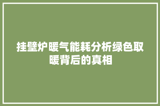 挂壁炉暖气能耗分析绿色取暖背后的真相 厨房维修