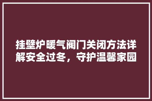 挂壁炉暖气阀门关闭方法详解安全过冬，守护温馨家园 综合便民