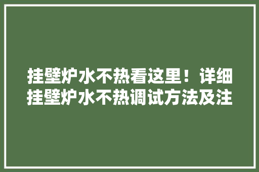 挂壁炉水不热看这里！详细挂壁炉水不热调试方法及注意事项 综合便民