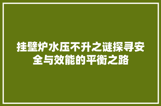 挂壁炉水压不升之谜探寻安全与效能的平衡之路 综合便民
