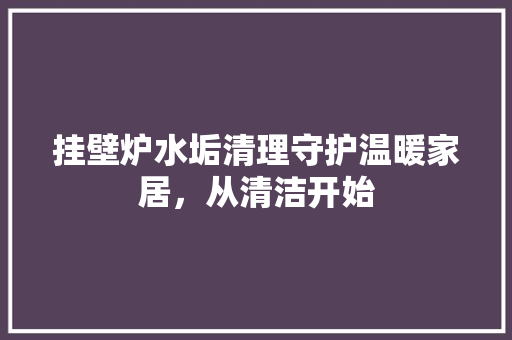 挂壁炉水垢清理守护温暖家居，从清洁开始 家电维修