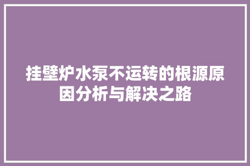 挂壁炉水泵不运转的根源原因分析与解决之路 综合便民