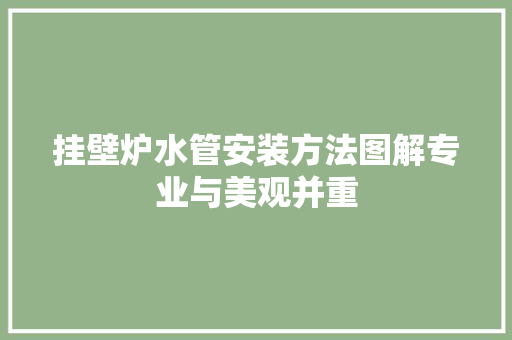 挂壁炉水管安装方法图解专业与美观并重 家电维修