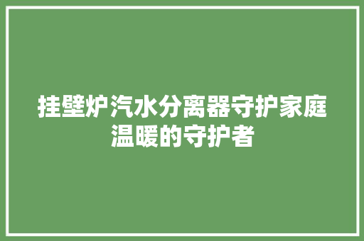 挂壁炉汽水分离器守护家庭温暖的守护者 综合便民