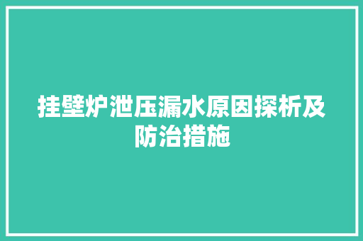 挂壁炉泄压漏水原因探析及防治措施 综合便民
