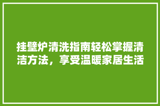 挂壁炉清洗指南轻松掌握清洁方法，享受温暖家居生活 汽车维修