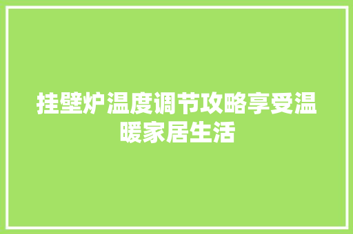 挂壁炉温度调节攻略享受温暖家居生活 综合便民