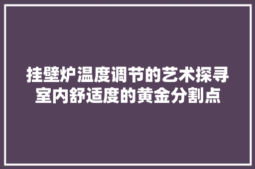 挂壁炉温度调节的艺术探寻室内舒适度的黄金分割点 家电维修