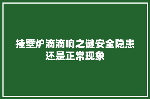 挂壁炉滴滴响之谜安全隐患还是正常现象 家电维修