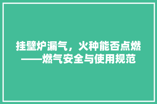 挂壁炉漏气，火种能否点燃——燃气安全与使用规范 家电维修