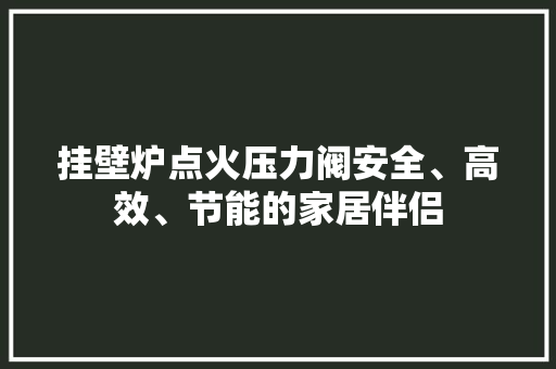 挂壁炉点火压力阀安全、高效、节能的家居伴侣 家电维修