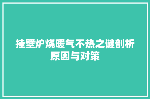 挂壁炉烧暖气不热之谜剖析原因与对策 家电维修