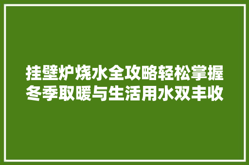 挂壁炉烧水全攻略轻松掌握冬季取暖与生活用水双丰收 厨房维修