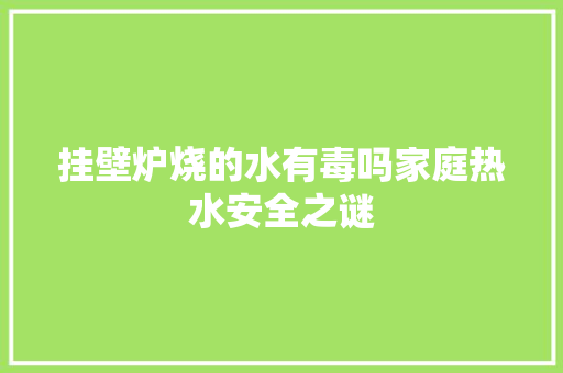 挂壁炉烧的水有毒吗家庭热水安全之谜 家电维修